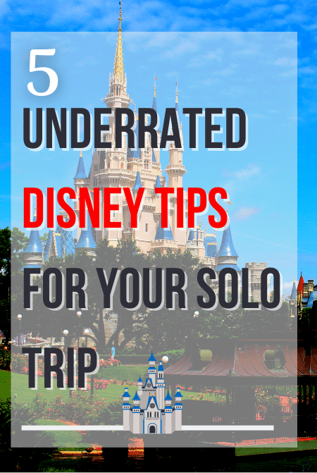 Theme Park Travel Guide to the best Disney World Tips for your solo trip.