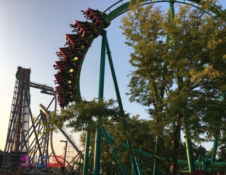 Cedar Point Raptor Roller Coaster at Dusk