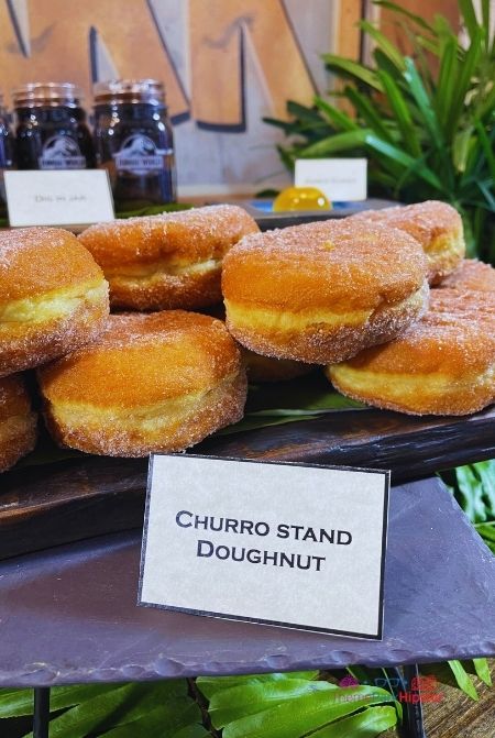 Churro Stand Doughnut at Universal Jurassic World Food. Keep reading to get the best Jurassic World Velocicoaster photos.