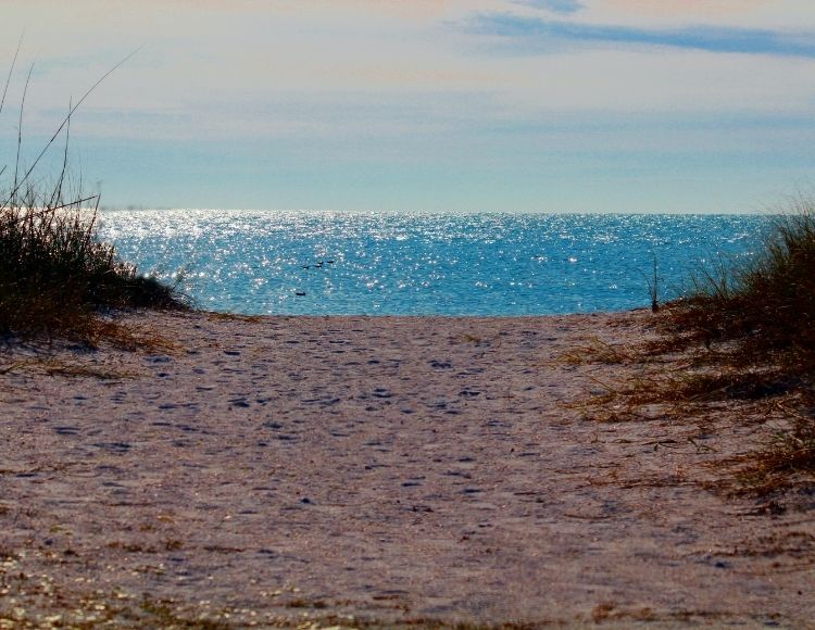 Honeymoon Island State Park in Florida. Keep reading to learn about the best beach close to Disney World and the Best Florida Beaches Near Disney World.