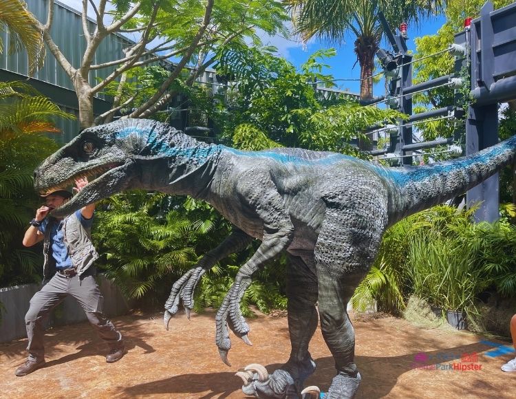 Raptor Encounter Trainer and Blue at Universal Jurassic Park. Keep reading to get the best things to do at Universal Islands of Adventure on a solo trip.