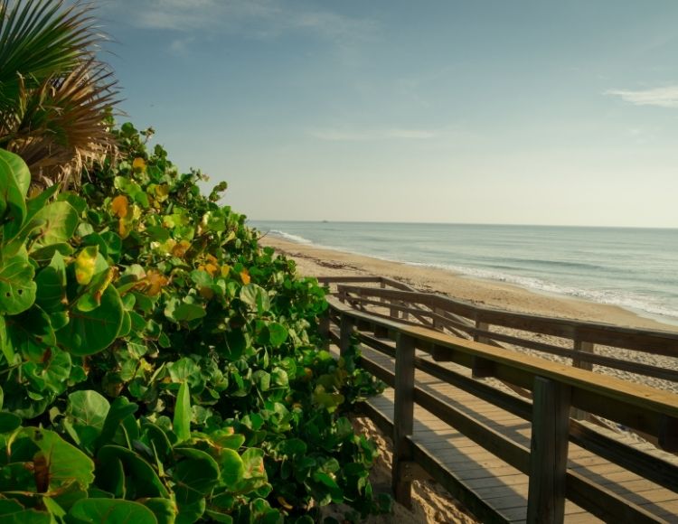 Satellite Beach Florida natural scenery. Making it the best beach close to Disney.