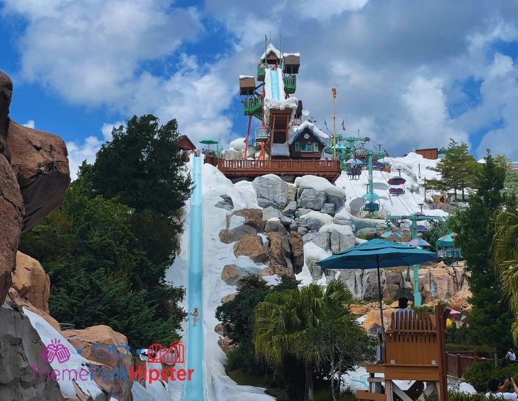 Slush Gusher and Summit Plummet at Blizzard Beach Water Park. Where are Disney Parks Located?