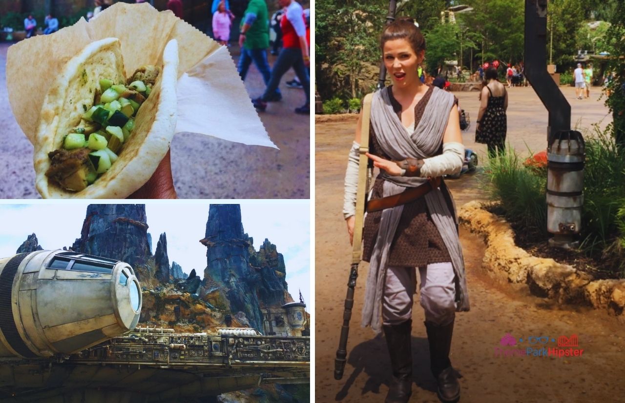Ronto Wrap Disney Star War Land with Rey and Millennium Falcon