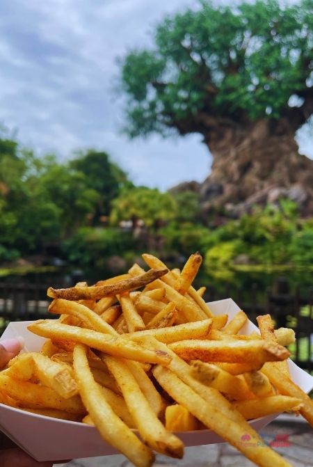 Mr Kamal Fries with Curry Mustard Sauce and Tree of LIfe in Background Disney Animal Kingdom