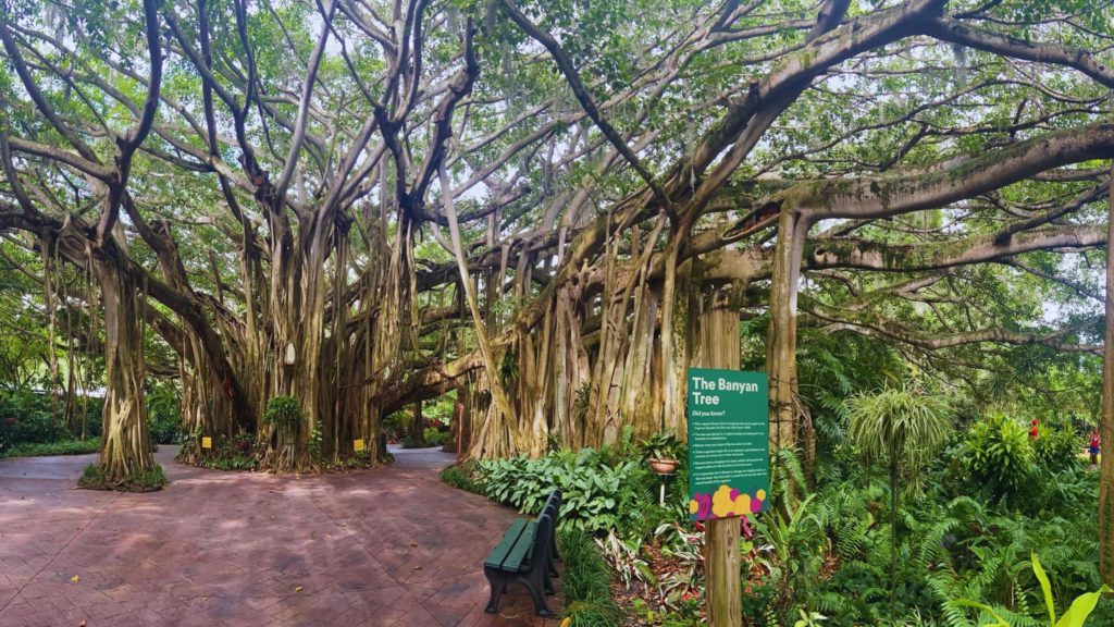 Legoland Florida Tribute to Cypress Gardens The Banyan Tree