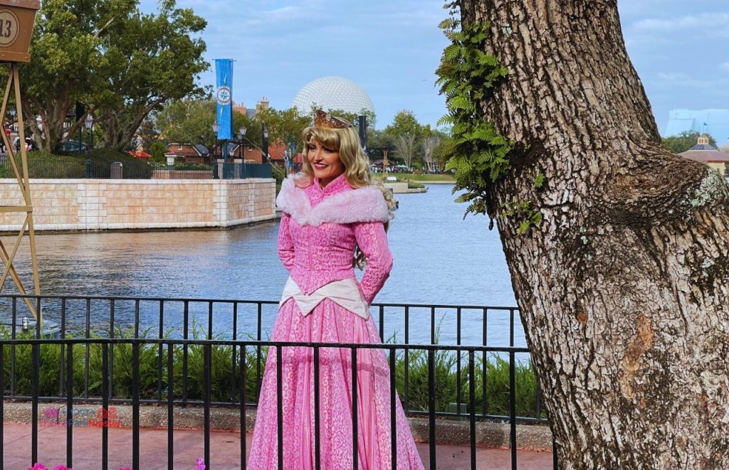 Princess Aurora from Sleeping Beauty at Disney Epcot. Keep reading to get the best hip packs and fanny packs for Disney World.