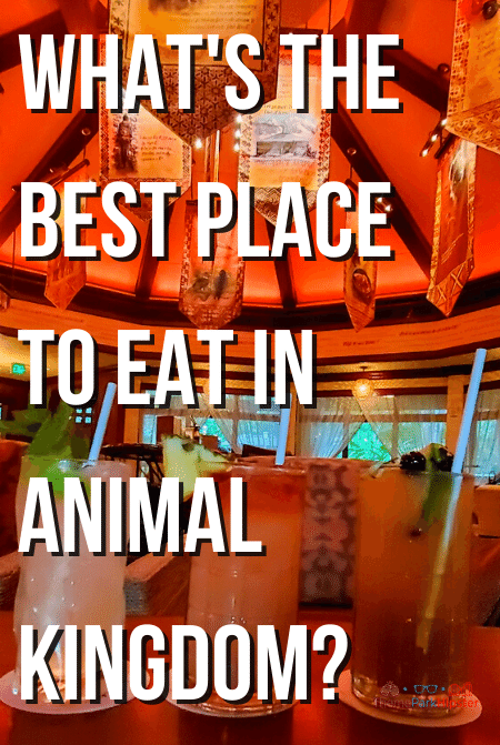 What's the best place to eat in Animal Kingdom