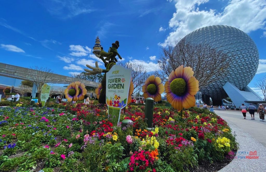 Epcot Flower and Garden Festival Goofy with 50th Anniversary Cake in front of Spaceship Earth. Keep reading to see the best epcot flower and garden topiaries through the years!
