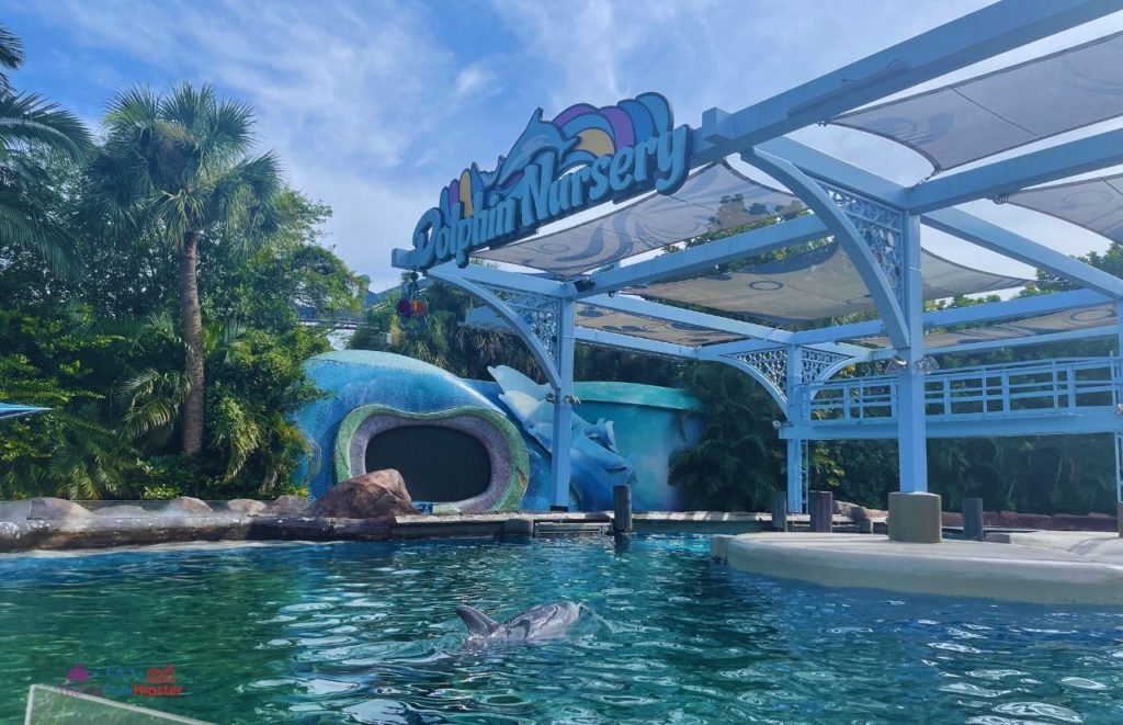 SeaWorld Orlando Dolphin Nursery. Keep reading to get the best SeaWorld Orlando tips, secrets and hacks.