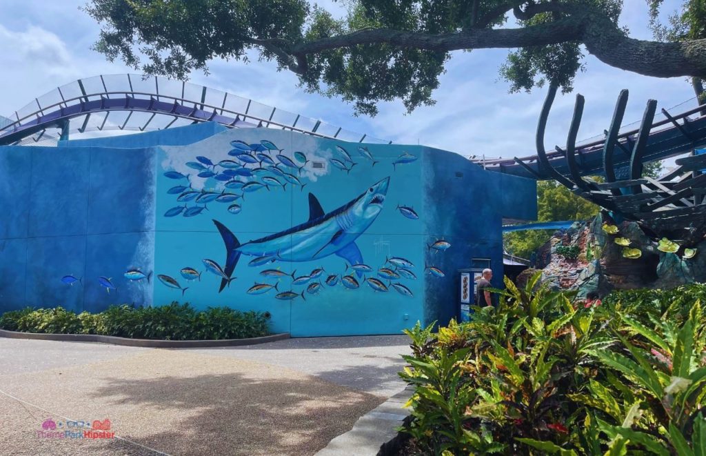 SeaWorld Orlando Mako Roller Coaster Mural with Shark. One of the best roller coasters in Florida.