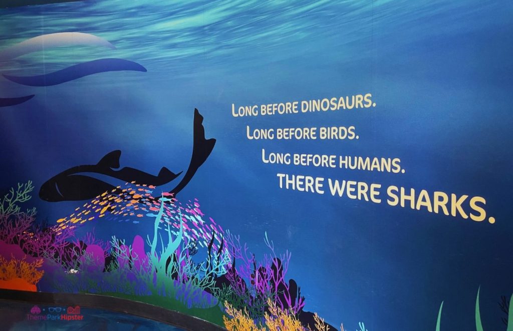 SeaWorld Orlando Shark Encounter Mural Quote. Keep reading to learn about Mako roller coaster at SeaWorld Orlando Resort.