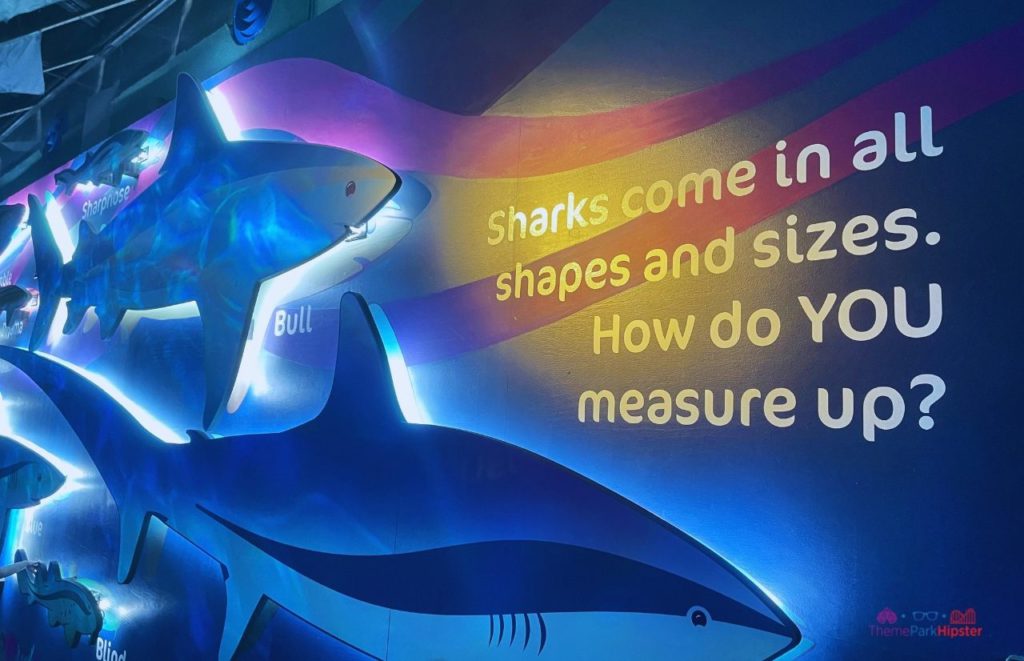 SeaWorld Orlando Shark Encounter Quote Mural. Keep reading to learn how to have a Solo Trip to SeaWorld and how to travel alone with anxiety.