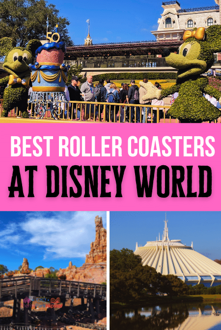 Best Disney World Roller Coasters all ranked! Keep reading for the full list of Disney rides.