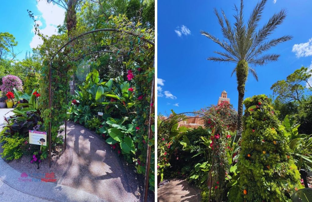 2024 Epcot Flower and Garden Festival Palm Tree Garden. Keep reading to learn how to go to Epcot Flower and Garden Festival alone and how to have the perfect solo Disney World trip.