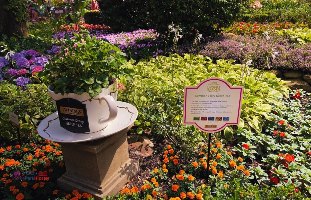2024 Epcot Flower and Garden Festival UK Pavilion Green Tea Garden. Keep reading to learn how to go to Epcot Flower and Garden Festival alone and how to have the perfect solo Disney World trip.