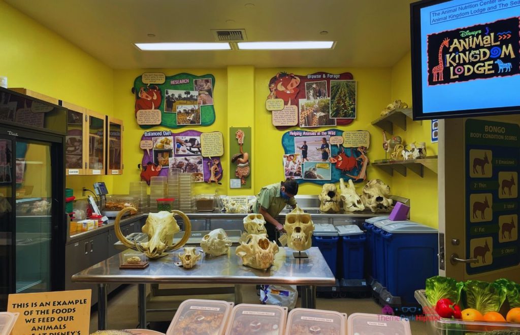Rafiki's Planet Watch Conservation Station at Disney Animal Kingdom Zoologist preparing animal food
