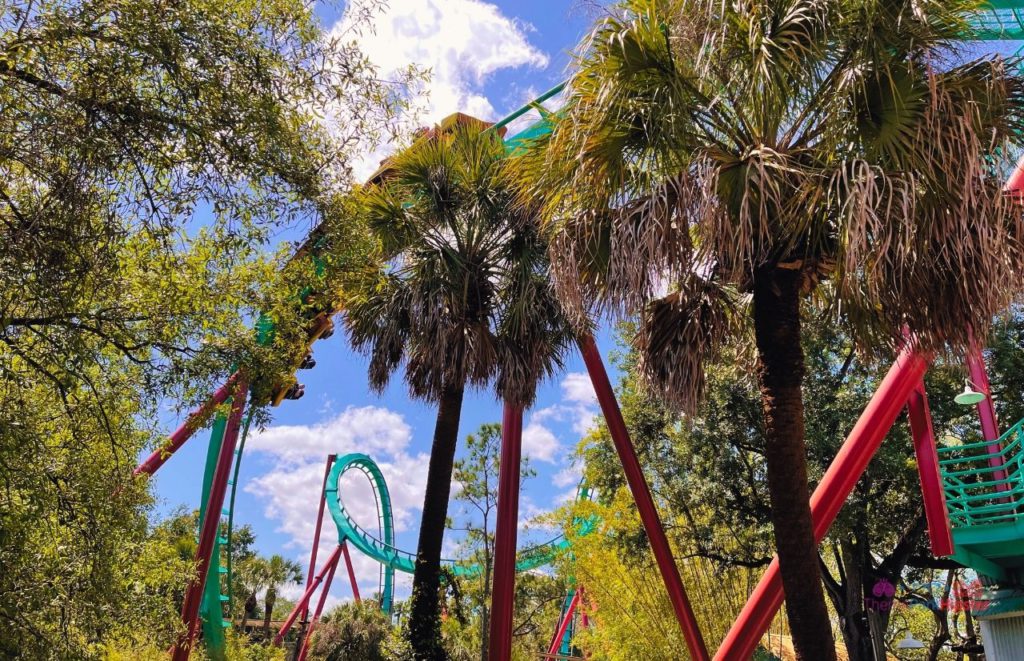Busch Gardens Tampa Bay Kumba Roller Coaster. Want the perfect Busch Gardens itinerary? Keep reading to see is one day enough for busch gardens tampa.
