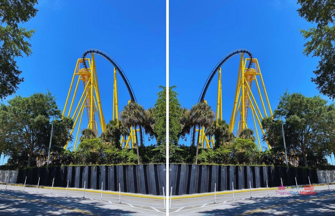 Busch Gardens Tampa Bay Montu Roller Coaster Side By Side View