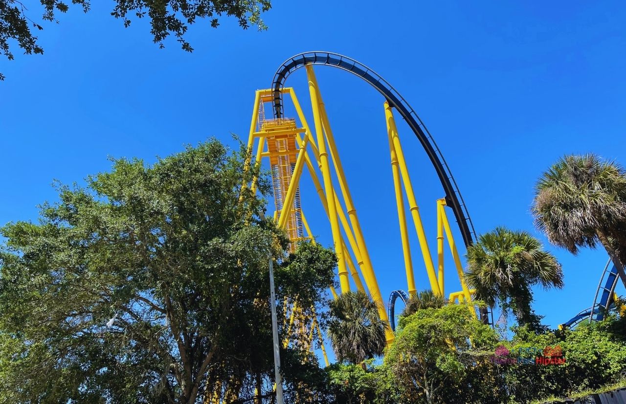 Busch Gardens Tampa Bay Montu Roller Coaster blue and yellow