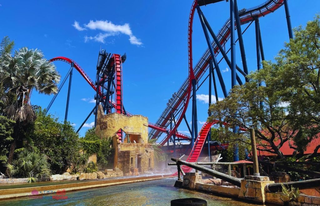Busch Gardens Tampa Bay Sheikra roller coaster two drops