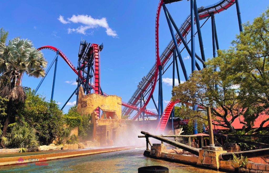 Busch Gardens Tampa Bay Sheikra splash. Keep reading to see what you can do for the 4th of July in Tampa and Orlando on Independence Day.