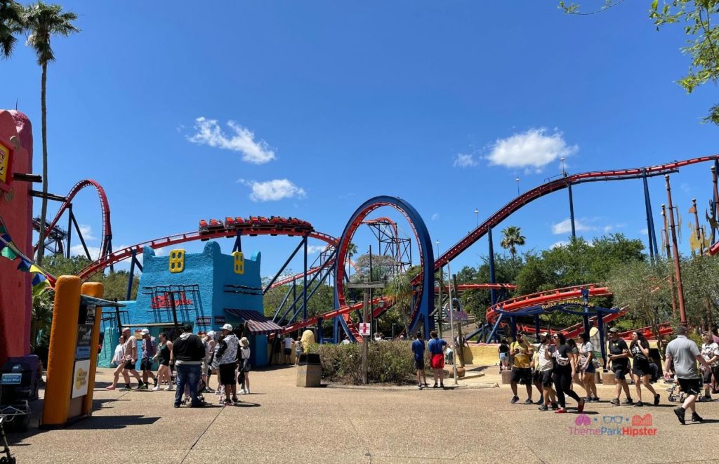 Busch Gardens Tampa Bay scorpion roller coaster in florida sun. Keep reading to learn about the Summer Nights celebration for Busch Gardens 4th of July and Independence Day.