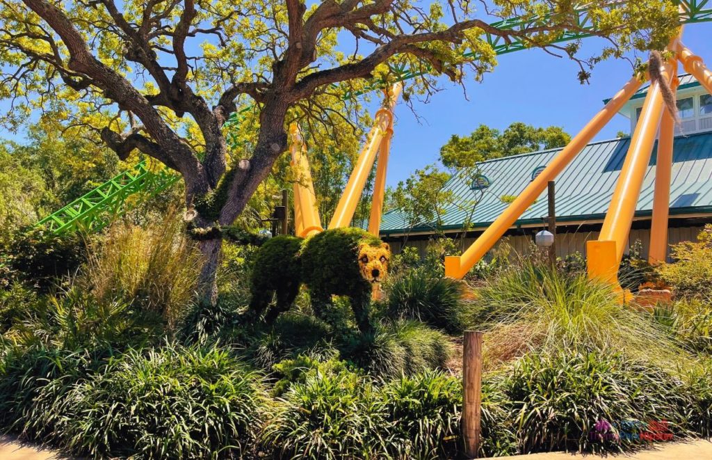 Busch Gardens Tampa Cheetah Hunt topiary. Keep reading to learn how to find cheap Busch Gardens tickets.