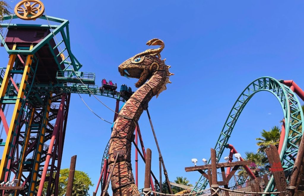 Busch Gardens Tampa Cobra's Curse drop. Keep reading to get the best things to do in Tampa with CityPASS Tampa.