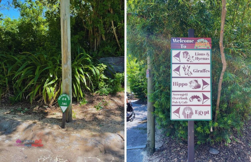 Busch Gardens Tampa Walking Trail Mile and The Edge of Africa with welcome sign and arrows to different attractions in the theme park. Keep reading to learn more about Busch Gardens Tampa animals.