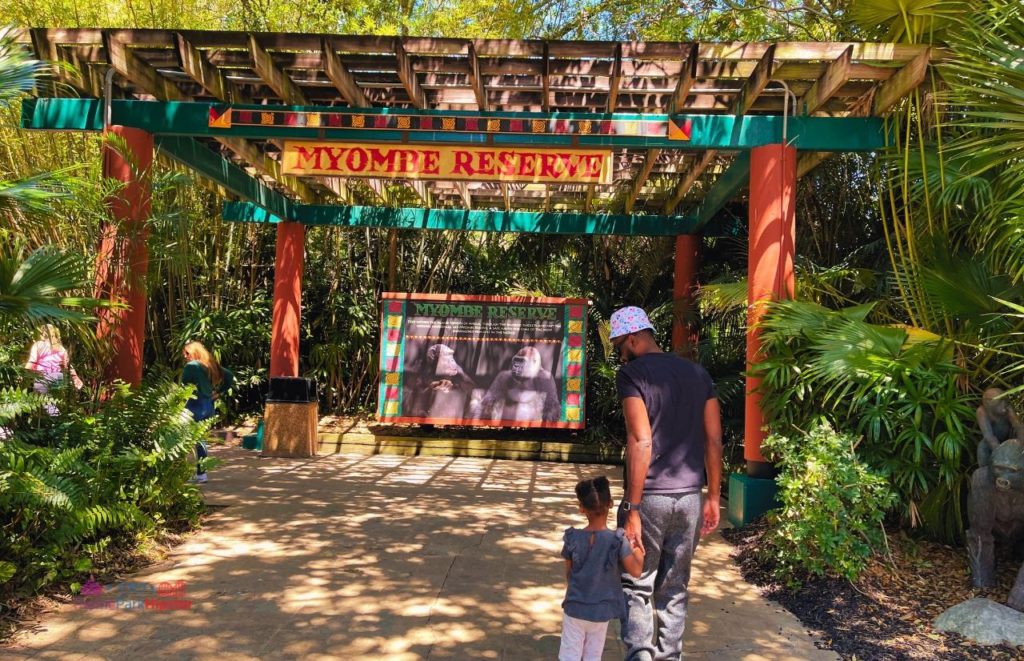 Busch Gardens Tampa entering Myombe Reserve