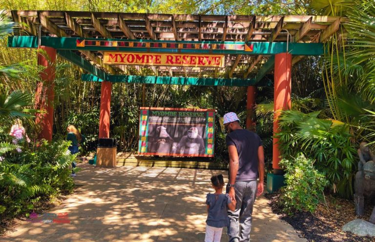 Busch Gardens Florida Resident Deals You CAN’T AFFORD to Miss ...