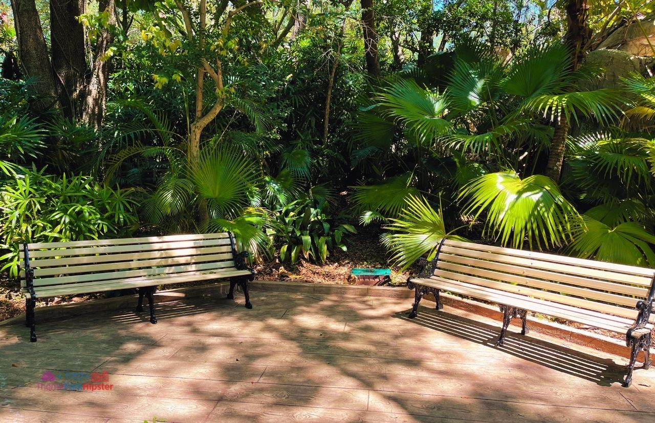 Busch Gardens Tampa shaded seating area in the gorilla area Myombe Reserve. Want the perfect Busch Gardens itinerary? Keep reading to see is one day enough for busch gardens tampa.