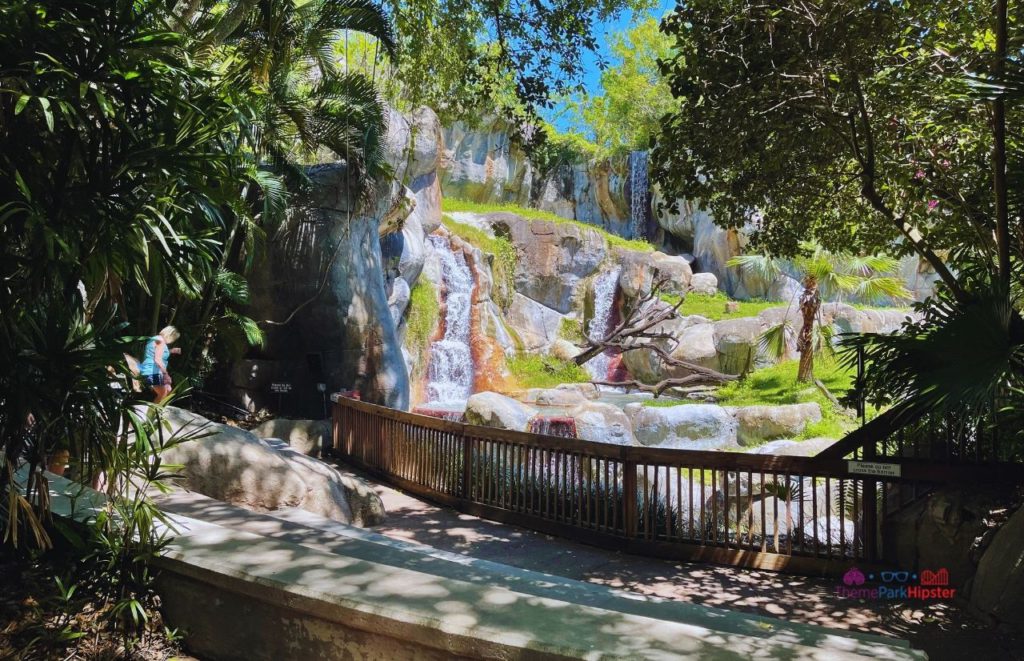 Busch Gardens Tampa waterfall area in Gorilla section relaxing shade Myombe Reserve. One of the best things to do at Busch Gardens Tampa for adults.