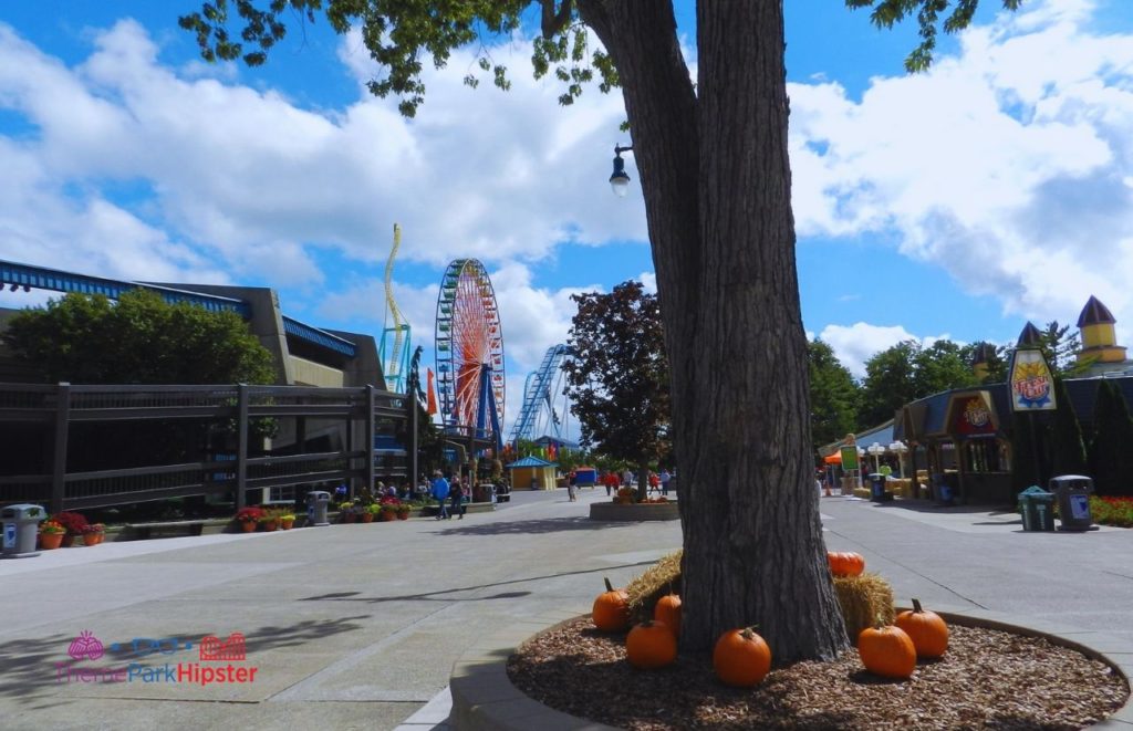 Cedar Point Fresh Cut Fries with Ferris Wheel Twister and Gatekeeper