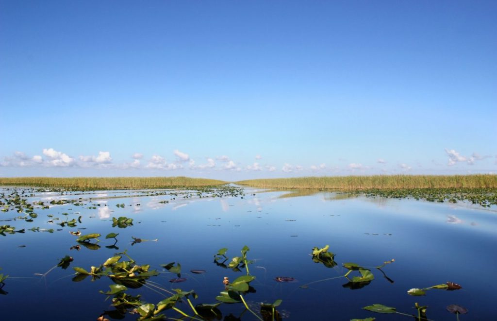 Everglades National Park in Southern Florida Day Trips from Orlando
