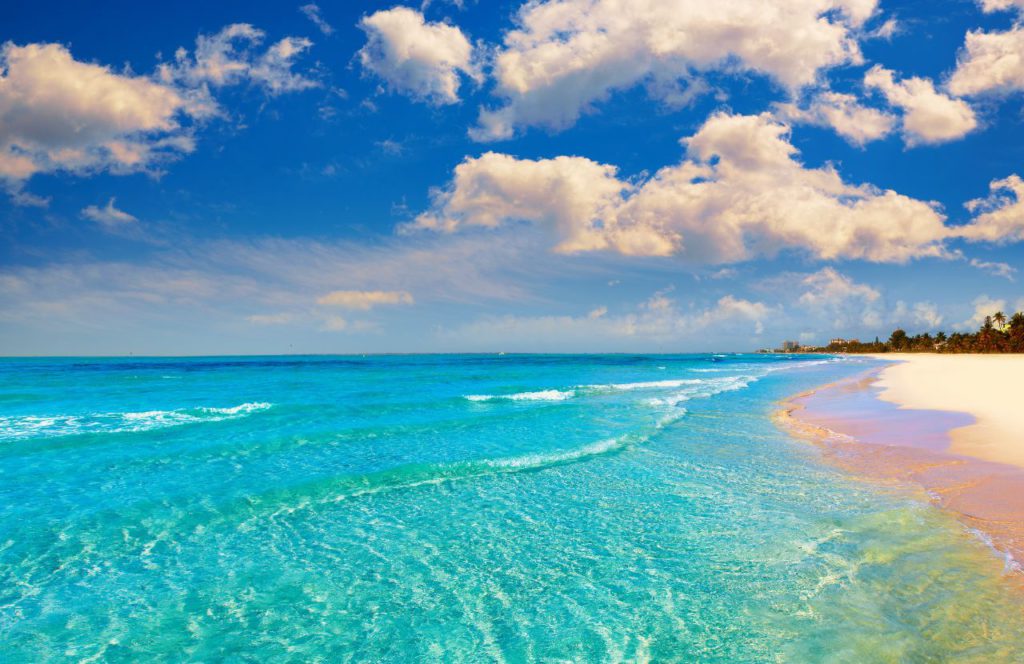 Honeymoon Island State Park, Florida. One of the best beaches near Disney World