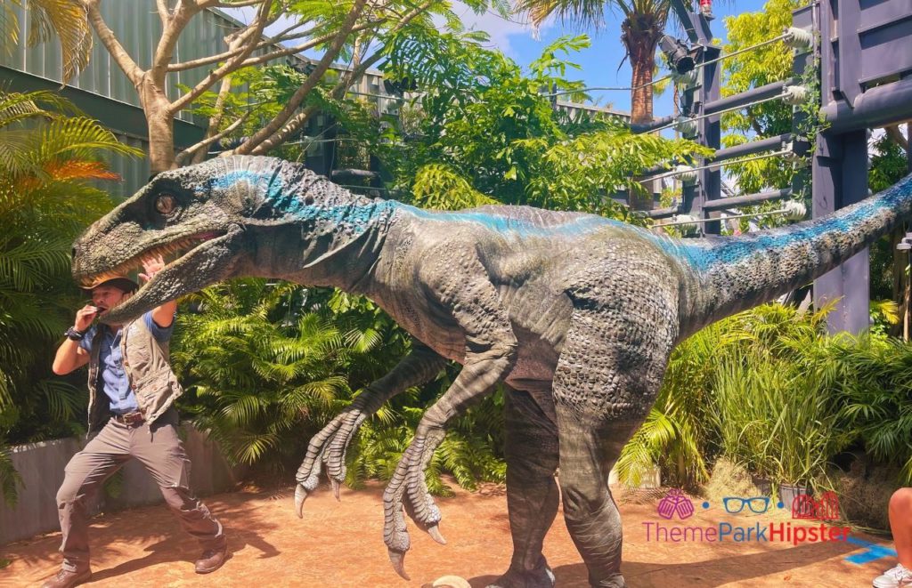 Universal Orlando Resort Blue the Raptor in Jurassic World at Islands of Adventure. Which is better Universal Studios vs Islands of Adventure? Keep reading to find out.