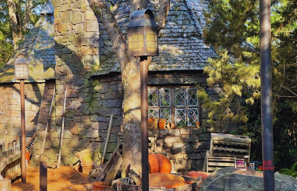 Universal Orlando Resort Hagrid's Magical Creatures Motorbike Adventure in Islands of Adventure hut in the Wizarding World of Harry Potter. One of the best roller coasters in Florida.
