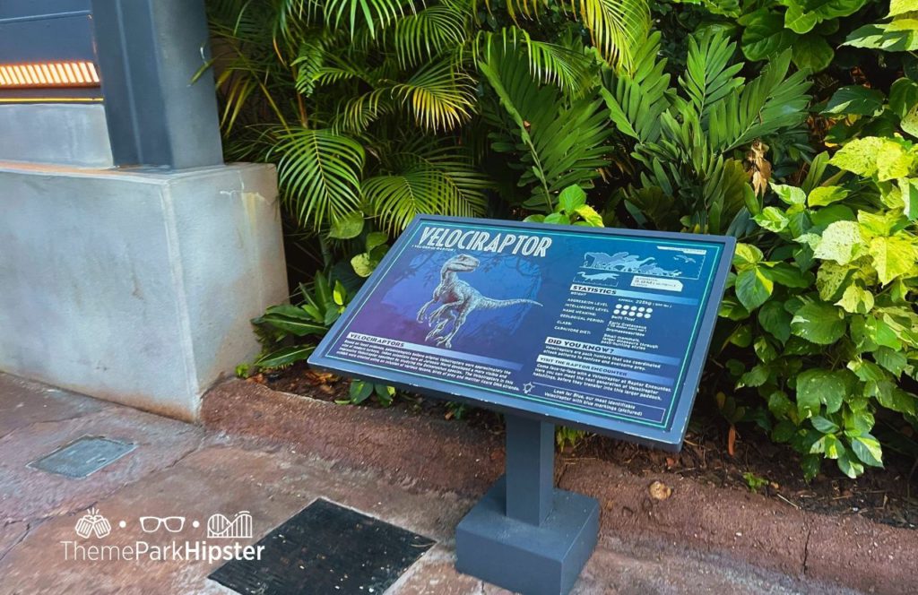 Velociraptor Universal Orlando Resort Islands of Adventure