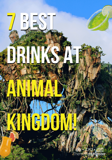 7 Best Drinks at Disney Animal Kingdom!