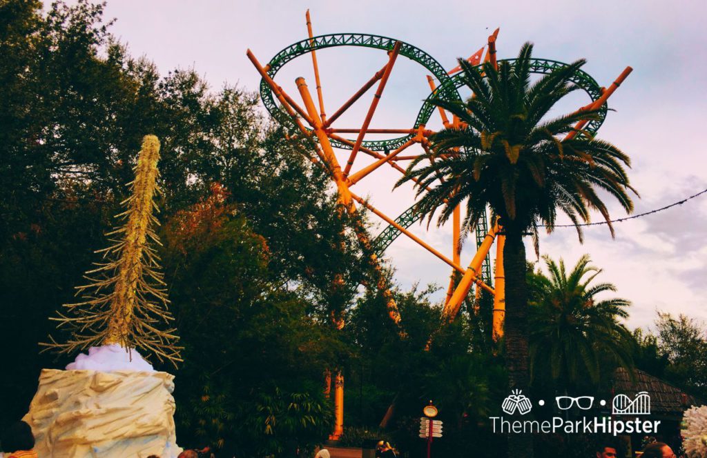 Cheetah Hunt Roller Coaster during 2023 Busch Gardens Christmas Town. Keep reading to get the full guide on doing Christmas at Busch Gardens Tampa!