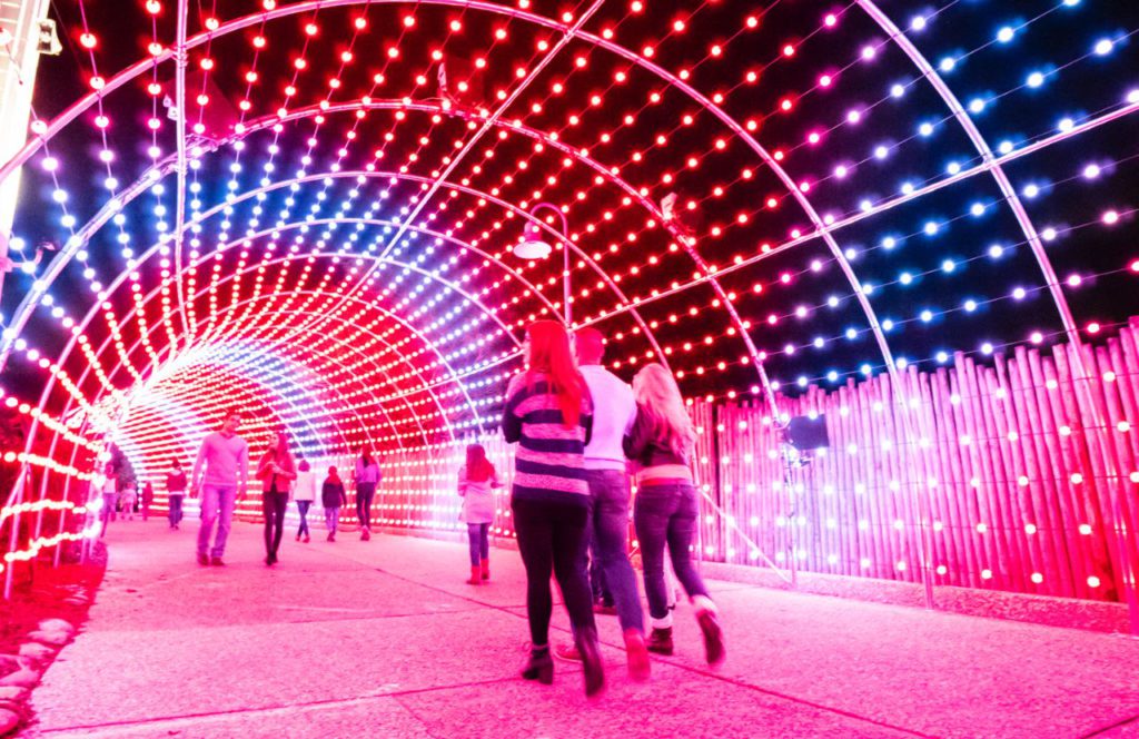 Holiday Light Tunnel at Busch Gardens Christmas Town. Keep reading to get the full guide on doing Christmas at Busch Gardens Tampa!