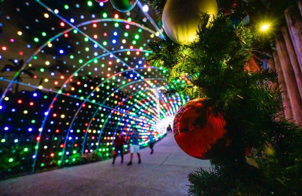 Holiday Light Tunnel at Busch Gardens Christmas Town. Keep reading to get the full guide on doing Christmas at Busch Gardens Tampa! 