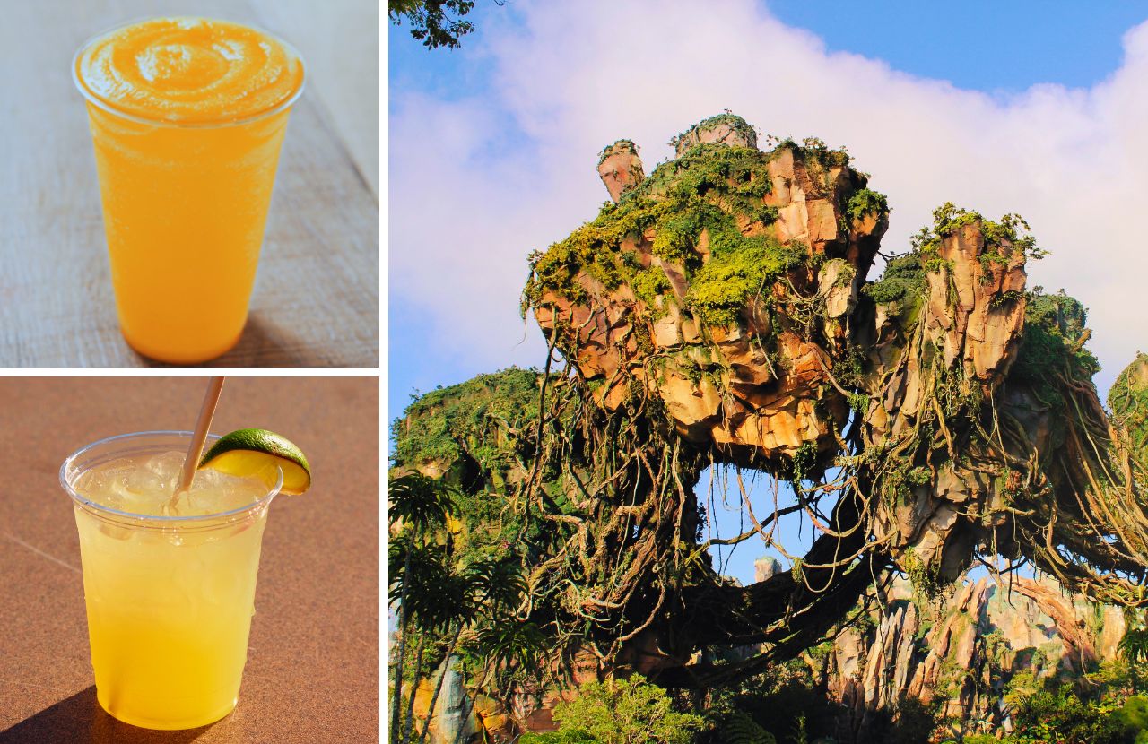 Mango Lassi Disney World Recipe at Animal Kingdom on wooden table Best Drinks at Animal Kingdom with Pandora Mountains