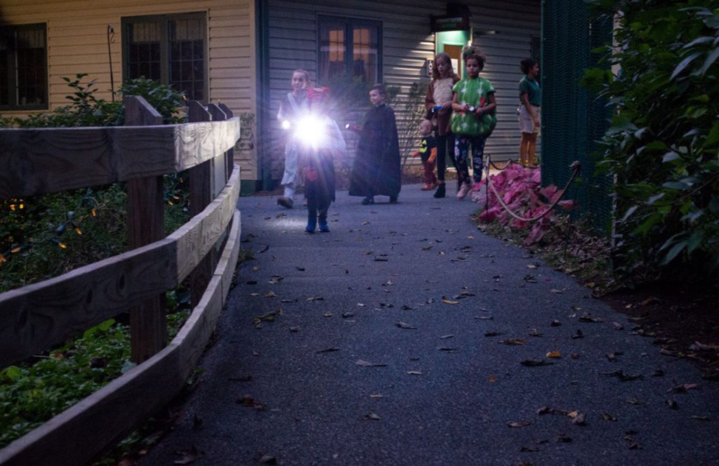 ZooAmerica Creatures Of The Night Halloween at Hersheypark Dark Nights with children in costumes walking with flashlights. Keep reading to find out more about the top 10 best things to do around Hersheypark.