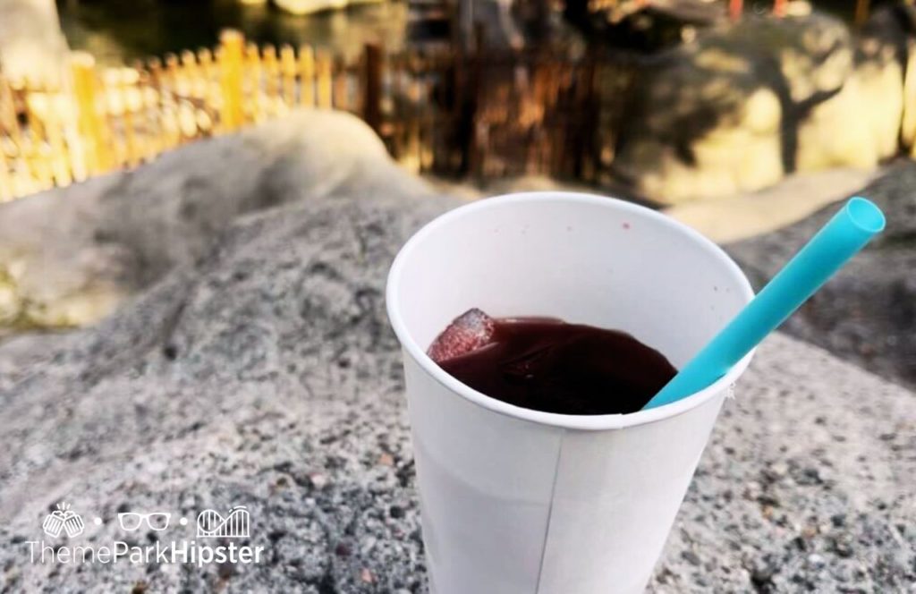 2024 Boysenberry Punch at Knott's Berry Farm in California. Keep reading to get the best food at Knott's Berry Farm and the best things to eat.