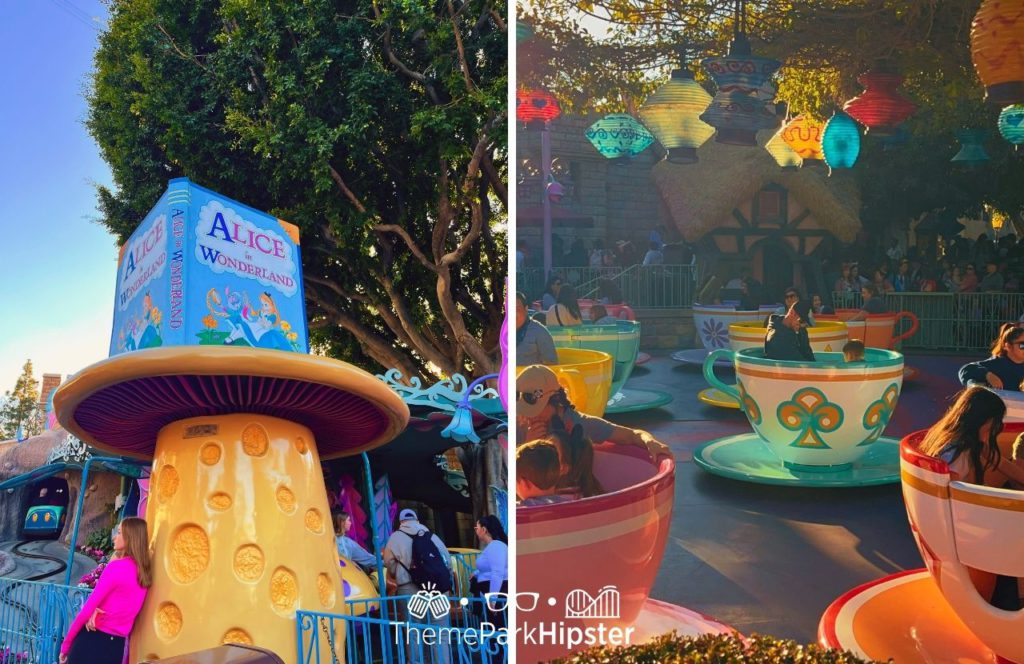 Disneyland Resort Alice in Wonderland Ride next to Mad Hatter Tea Party Ride in Fantasyland. Keep reading to learn what to wear to Disneyland in January.