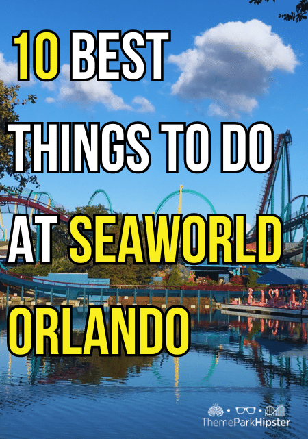 10 Best Things to Do at SeaWorld Orlando. Full Travel Guide.