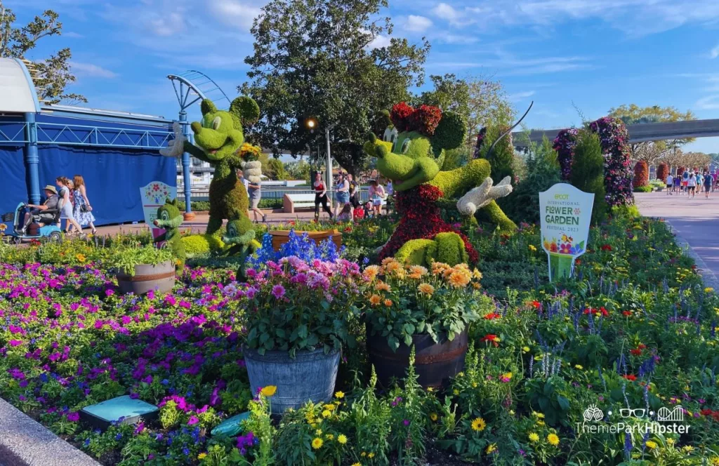Epcot Flower and Garden Festival 2023 Mickey and Minnie Mouse Topiary one of the best things to do at Disney World in the Summer!
